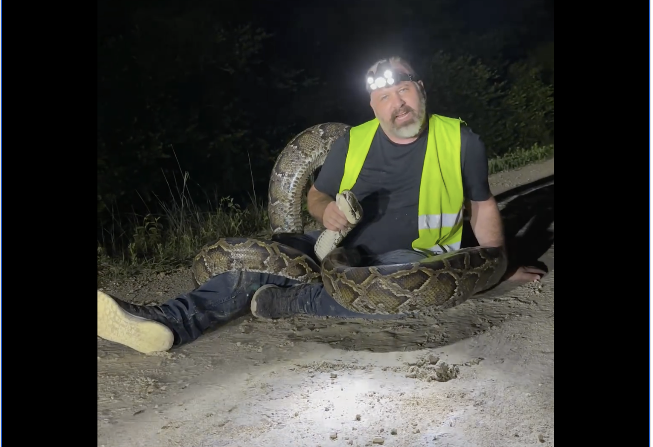 Florida man wrestles with 17-foot python – Florida Weirdness